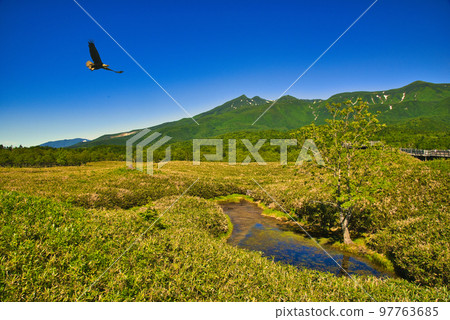 The summer scenery of the World Heritage Shiretoko Five Hus and the Shiretoko mountain range The summer scenery of the World Heritage Shiretoko Five Hus and the Shiretoko mountain range 97763685