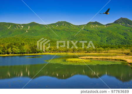 世界遺產知床五戶與知床連峰的夏日風光 世界遺產知床五戶與知床連峰的夏日風光 97763689