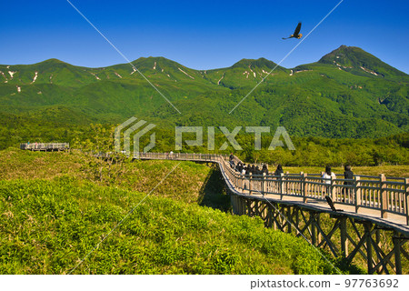The summer scenery of the World Heritage Shiretoko Five Hus and the Shiretoko mountain range The summer scenery of the World Heritage Shiretoko Five Hus and the Shiretoko mountain range 97763692
