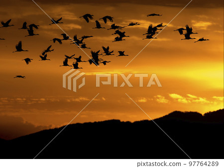 sunset and crane 97764289
