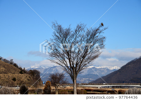 12月的千曲川周邊風景 97764436