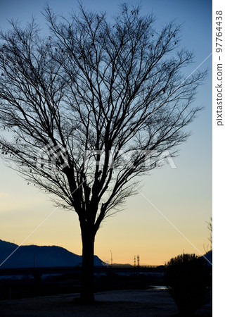 12月的千曲川周邊風景 97764438