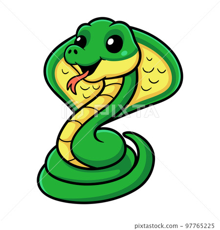 Cute little cobra snake cartoon Cute little cobra snake cartoon 97765225