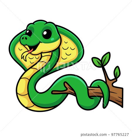 Cute little cobra snake cartoon on tree branch Cute little cobra snake cartoon on tree branch 97765227