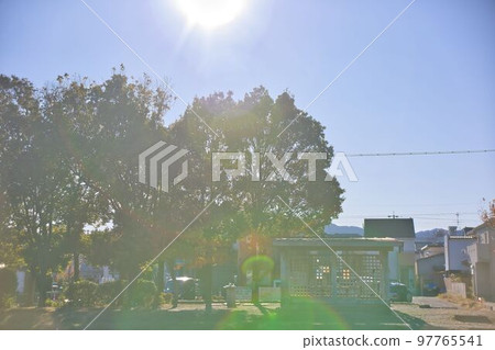 The sun and autumn leaves The sun and autumn leaves 97765541