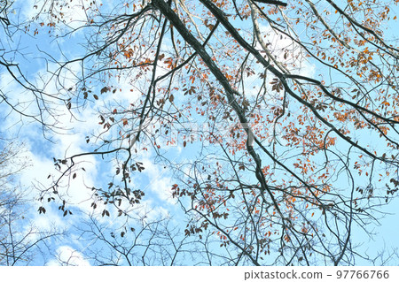 藍色的天空和雲圖像 藍色的天空和雲圖像 97766766