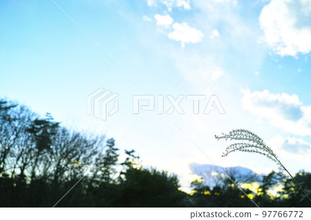 藍色的天空和雲圖像 藍色的天空和雲圖像 97766772