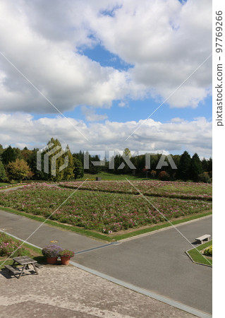 廣島備北丘陵公園 廣島備北丘陵公園 97769266