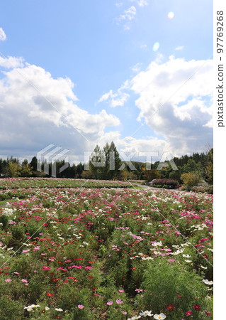 廣島備北丘陵公園 廣島備北丘陵公園 97769268