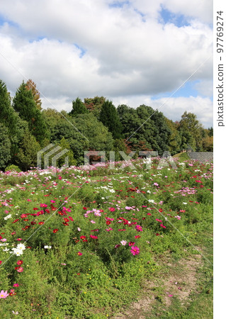 Hiroshima Bihoku Hillside Park Hiroshima Bihoku Hillside Park 97769274