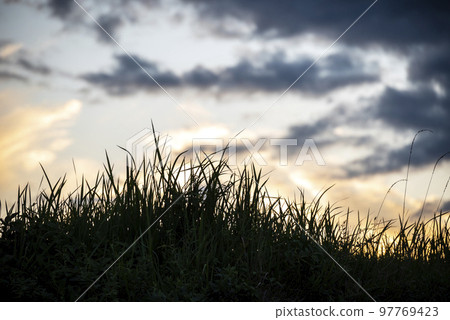 日落黃昏天空素材[神奈川縣] 97769423