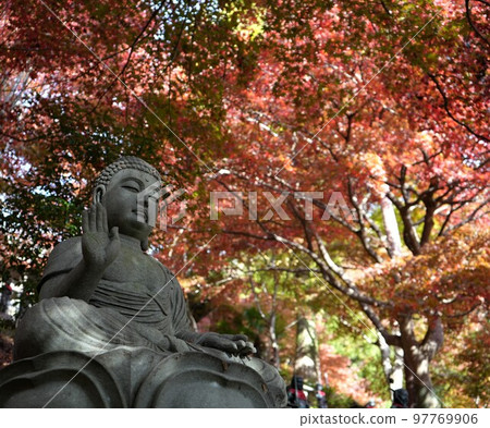 秋天的大仙寺和佛像 秋天的大仙寺和佛像 97769906