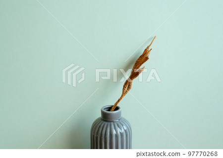 Gray vase of brown dry plant with mint wall background. minimalism interior home decor 97770268