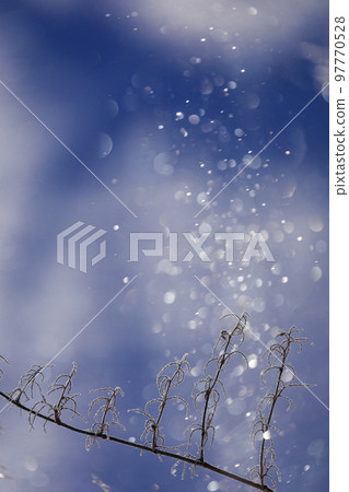 [Biei-cho, Hokkaido] Diamond dust 97770528