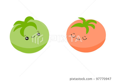 Funny tomatoes, green and red tomatoes, gardening. Vector illustration on a white background. 97770947