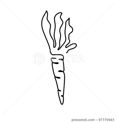 Simple carrot design in continuous line art drawing style. Growing carrot plant minimalist black linear sketch isolated on white background. Vector illustration Simple carrot design in continuous line art drawing style. Growing carrot plant minimalist black linear sketch isolated on white background. Vector illustration 97770983