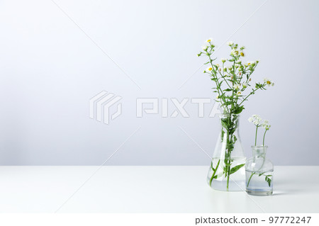 Laboratory glassware with flowers on white table 97772247