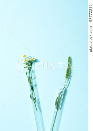 Concept of biology research, space for text 97772253
