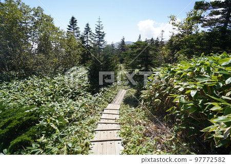 群馬縣草津白根山 從澀兔下到吉平的山路 從玉子平到吉平 2022 年 9 月 16 日 群馬縣草津白根山 從澀兔下到吉平的山路 從玉子平到吉平 2022 年 9 月 16 日 97772582