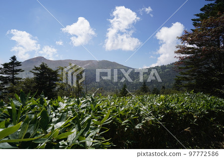群馬縣草津白根山 從 Shibutoge 到 Yoshigadaira Yoshiga-square 旁邊的山路 背景是白根山 2022 年 9 月 16 日 97772586
