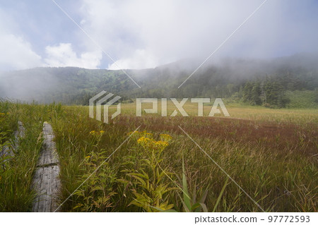 群馬縣草津白根山吉平平濕地步道 2022 年 9 月 16 日 群馬縣草津白根山吉平平濕地步道 2022 年 9 月 16 日 97772593