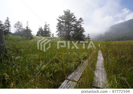 群馬縣草津白根山吉平平沼木板路 2022 年 9 月 16 日 群馬縣草津白根山吉平平沼木板路 2022 年 9 月 16 日 97772594