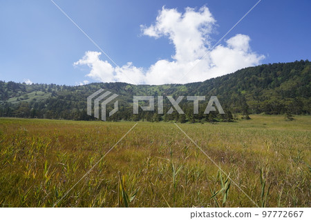 Kusatsu-Shiraneyama, Gunma Prefecture, Yoshigadaira Marsh to Mt.Shirane September 16, 2022 Kusatsu-Shiraneyama, Gunma Prefecture, Yoshigadaira Marsh to Mt.Shirane September 16, 2022 97772667