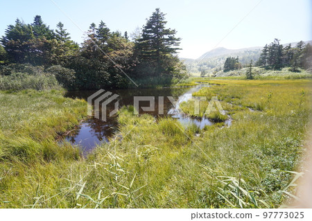 Kusatsu-Shiraneyama, Gunma Prefecture, Yoshigadaira Wetland, September 16, 2022 97773025