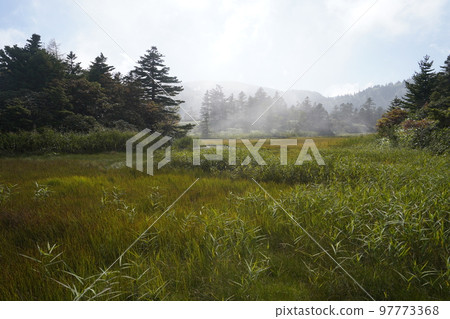 群馬縣草津白根山吉平濕地,2022 年 9 月 16 日 群馬縣草津白根山吉平濕地,2022 年 9 月 16 日 97773368