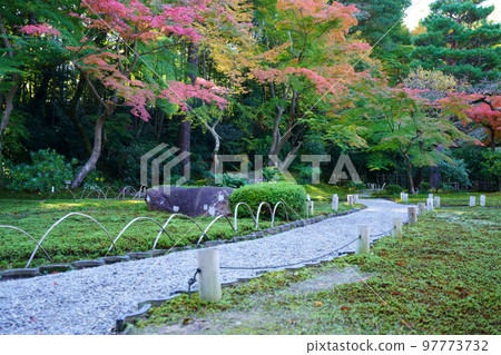 Nara's famous garden Yoshikien during autumn leaves *Garden path Nara's famous garden Yoshikien during autumn leaves *Garden path 97773732