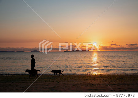 一個男人在日落時在沙灘上遛狗的剪影 97773978