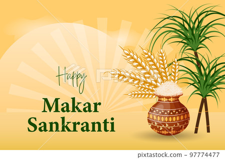 Happy Makar Sankranti, clay pot with rice, ears of wheat and bamboo stalks against the backdrop of the sun. Hindu holiday card, vector 97774477
