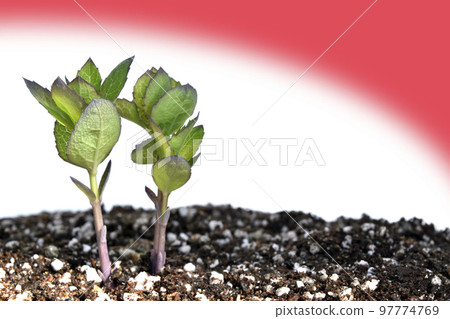 核事故 核能毀滅一切 97774769