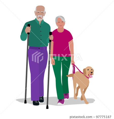 Happy older man and woman walking with pet dog 97775187