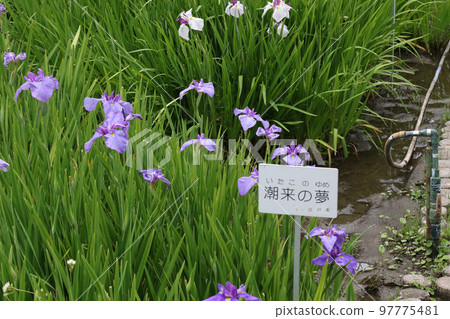 池田市水月公園 Hanashobu Itako no Yume 97775481