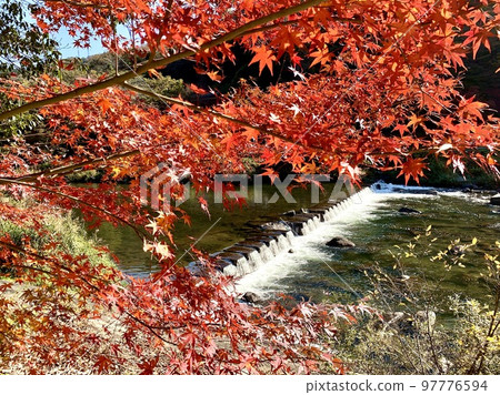 Tomoe River in autumn leaves <Korankei/Asuke Town, Toyota City, Aichi Prefecture> 97776594