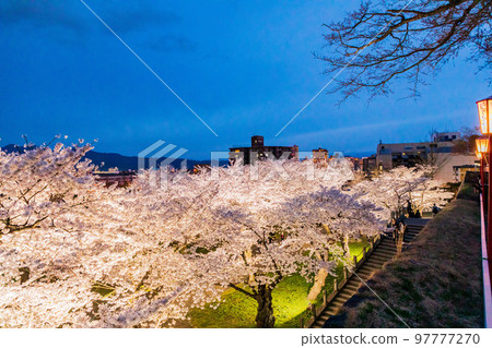 岩手縣盛岡市盛岡城址公園的櫻花 岩手縣盛岡市盛岡城址公園的櫻花 97777270