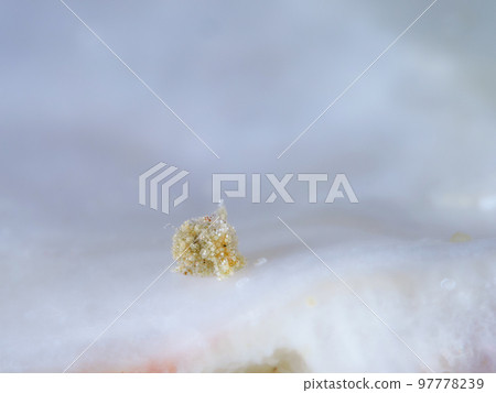 青春痘青春痘 青春痘青春痘 97778239