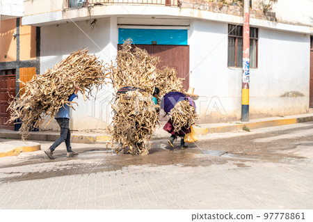 people carry bales of straw on their backs down the street people carry bales of straw on their backs down the street 97778861