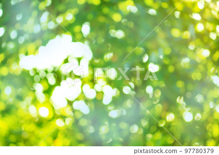 Fresh spring bokeh and sunlight natural background 97780379