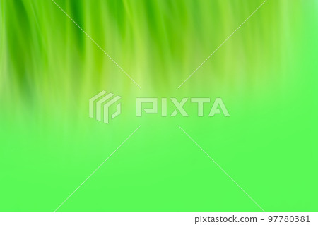 Juicy fresh green grass as a spring blurred background.  97780381