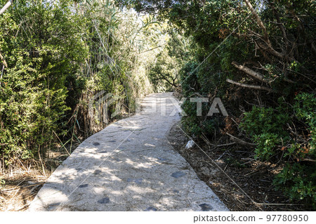 Path trail in public park among thickets of plants on a summer sunny day. Way, road concept. Path trail in public park among thickets of plants on a summer sunny day. Way, road concept. 97780950