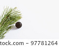 Spruce branch with Christmas tree toy ball. Winter holidays 97781264