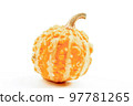Decorative pumpkin isolated on a white background 97781265