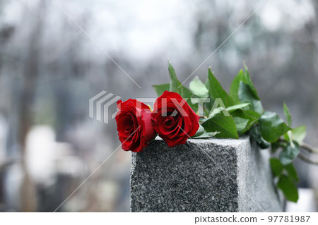 Red roses on grey granite tombstone outdoors. Funeral ceremony Red roses on grey granite tombstone outdoors. Funeral ceremony 97781987