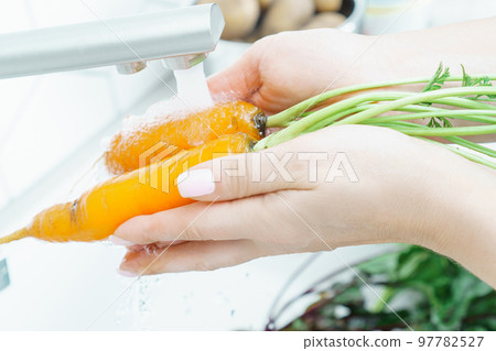 Cropped photo of woman washing orange carrots with leaves under running water from brass faucet in kitchen. Vegetables. 97782527