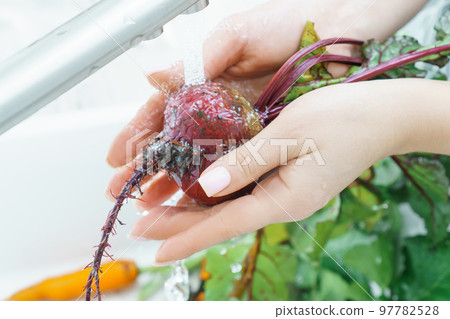Cropped photo of woman washing fresh beet with leaves with hands under running splashing water in sink in kitchen. 97782528