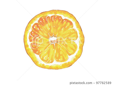 Lemon slice hand-drawn illustration Copic tea Lemon slice hand-drawn illustration Copic tea 97782589