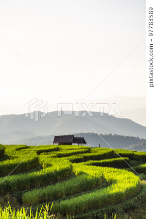landscape of Rice terrace at Ban pa bong piang in Chiang mai Thailand 97783589