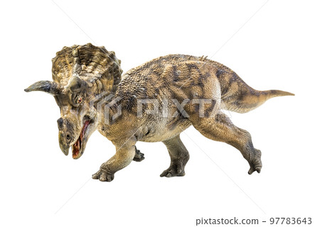 dinosaur , Triceratops on isolated background clipping path 97783643